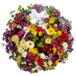 20200922-093537-1-removebg-preview_640x640+fill_ffffff